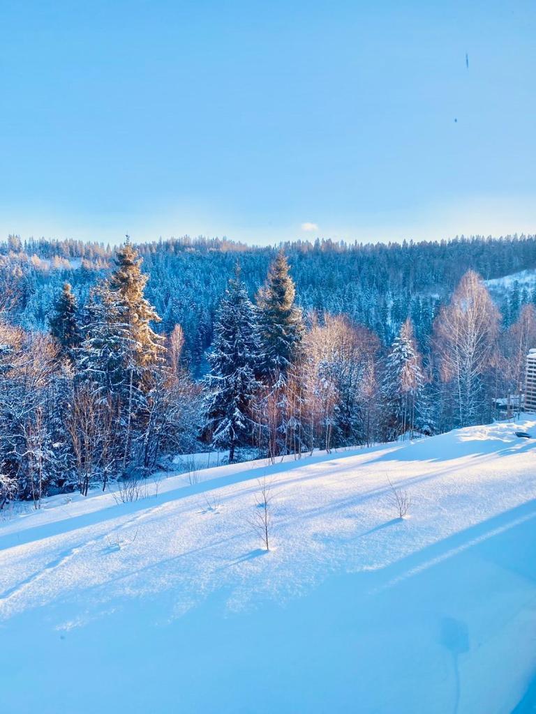 Mount Hotel Slavske Buitenkant foto